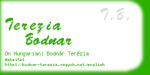 terezia bodnar business card